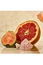 view 5 of 5 Reed Diffuser in Sea Salt Grapefruit