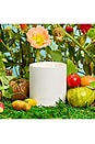 view 3 of 4 2-Wick Candle in Tomato Tarragon