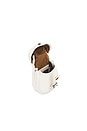 view 4 of 6 Western Belted Cross Bag in Ivory