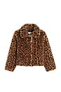 view 1 of 4 Elis Leopard Kids Coat in Leopard