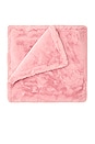 view 1 of 5 COUVERTURE SHIRLEY in Blush