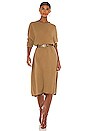 view 4 of 4 Taylor Dress in Camel