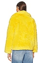 view 4 of 5 Milly Jacket in Maize