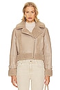 view 2 of 5 CHAQUETA JAY in Taupe