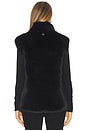 view 3 of 4 Laila Sable Vest in Noir