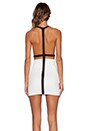 view 4 of 5 DION ミニドレス in Black & Cream