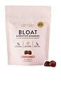 view 1 of 3 BLOAT GUMMIES サプリメント in Peach Lemon