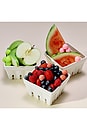 view 7 of 7 COMPLÉMENTS ONE GUMMIES VARIETY PACK in Sour Watermelon, Mixed Berry, & Sour Green Apple