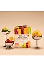 view 6 of 7 Clear Protein+ Dairy Free Protein & Electrolyte Blend Variety Pack in Raspberry Yuzu, Lemon Lime, Passionfruit Mango