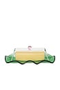 view 2 of 4 Everything Nice Butter Dish in 