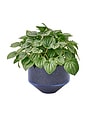 view 3 of 3 Model Three Planter in Blue