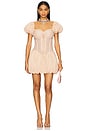 view 1 of 3 Sally Balloon Dress in Nude