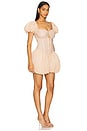 view 2 of 3 Sally Balloon Dress in Nude