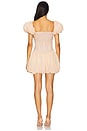 view 3 of 3 Sally Balloon Dress in Nude