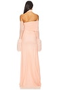 view 4 of 4 Dana Maxi Dress in Rose