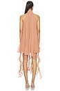 view 3 of 3 Gaby Ruffle Dress in Cookie