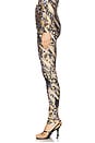 view 3 of 6 Printed Legging in Multi