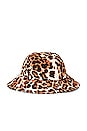 view 3 of 6 Bob Bucket Hat in Leopard
