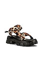 view 2 of 5 Trekky Platform Sporty Sandal in Leopard