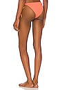 view 3 of 4 Jenna Bikini Bottom in Melon
