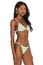 view 2 of 4 X Madelyn Cline Folly Bikini Top in Chev