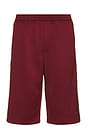 view 1 of 6 Track Shorts in Collegiate Burgundy