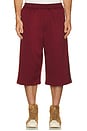 view 5 of 6 Track Shorts in Collegiate Burgundy