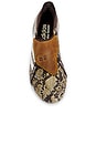 view 4 of 6 ZAPATILLA DEPORTIVA PREDATOR ELITE FT FG in Brown