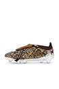 view 5 of 6 ZAPATILLA DEPORTIVA PREDATOR ELITE FT FG in Brown