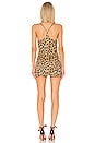 view 3 of 3 COMBISHORT MINI in Honey Leopard