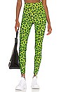 view 1 of 4 LEGGINGS in Neon Leopard