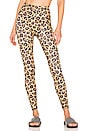 view 1 of 4 French Cut Legging in Honey Leopard