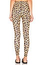 view 3 of 4 French Cut Legging in Honey Leopard