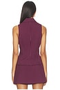 view 4 of 6 Kaia Vest in Merlot Stripe