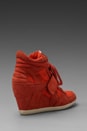 view 4 of 5 Bowie Wedge Sneaker in Coral