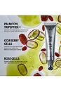 view 6 of 8 PepTint Tripeptide & Goji Cells Plumping Lip Treatment in Fearless