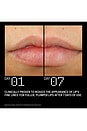view 8 of 8 PepTint Tripeptide & Goji Cells Plumping Lip Treatment in Fearless