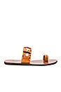 view 1 of 5 Shella Sandal in Multi