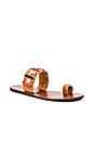 view 2 of 5 Shella Sandal in Multi