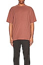 view 4 of 5 Cotton Plus Oversized Tee in Red Earth
