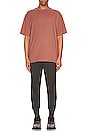 view 5 of 5 Cotton Plus Oversized Tee in Red Earth