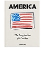 view 1 of 3 America: The Imagination Of A Nation in White