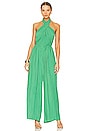 view 1 of 3 Damia Jumpsuit in Green