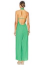 view 3 of 3 Damia Jumpsuit in Green