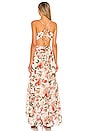 view 4 of 5 Frolic Dress in Cream Ruby Floral