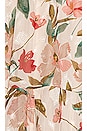 view 5 of 5 Frolic Dress in Cream Ruby Floral
