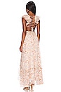 view 3 of 3 Primrose Dress in Peach Multi Floral