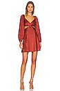 view 1 of 3 Anamaria Mini Dress in Rust