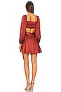 view 3 of 3 Anamaria Mini Dress in Rust