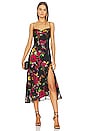 view 1 of 3 Gaia Dress in Black & Red Floral